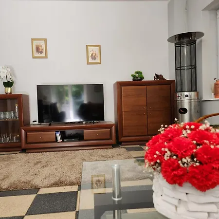 Ferienhaus Duzy Dom Zalesie 100m Od Plazy